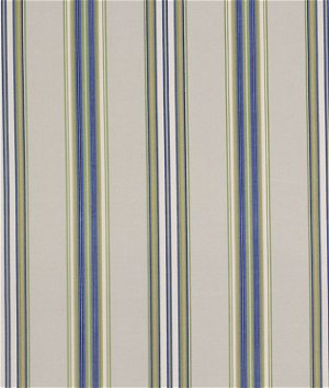 Robert Allen @ Home Padgetville Sapphire Fabric