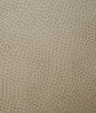 Pindler & Pindler Outback Cement Fabric