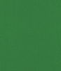10 Oz JD Greene Cotton Canvas Fabric