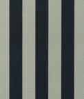Sunbrella Expressive Mist Fabric