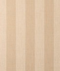 Sunbrella Expressive Sparrow Fabric