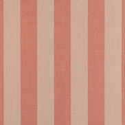 Sunbrella Expressive Blush Fabric