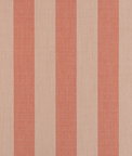 Sunbrella Expressive Blush Fabric