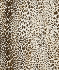 Sunbrella Instinct Espresso Fabric