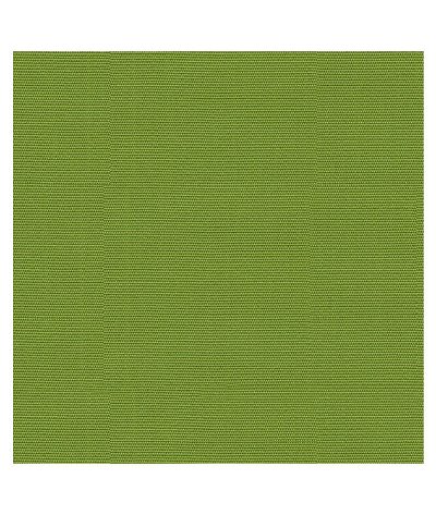 Kravet Design Canvas Ginkgo-323 Fabric