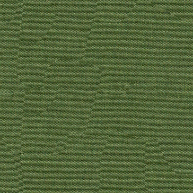 Kravet Design Canvas Ginkgo-33 Fabric
