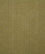 Pindler & Pindler Westley Aloe