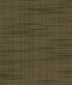Robert Allen @ Home Texturetake Sepia Fabric