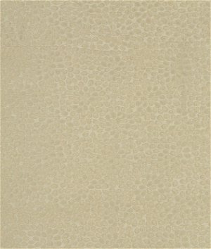 Robert Allen @ Home Mosaic Petal Blanc Fabric