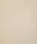 Pindler & Pindler Douppioni Shell Fabric
