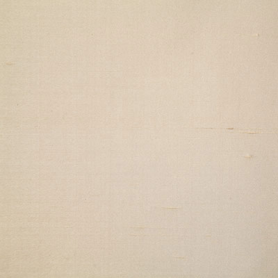 Pindler &amp; Pindler Douppioni Shell Fabric