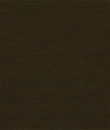 Robert Allen @ Home Slubby Texture Espresso Fabric
