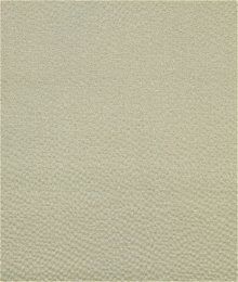 Robert Allen @ Home Glam Sheen Sand Fabric