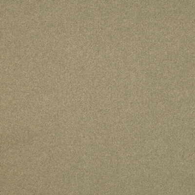 Lee Jofa Flannelsuede Quartz Fabric