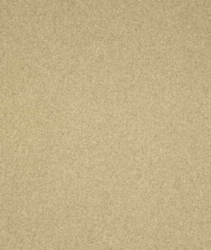 Lee Jofa Flannelsuede Beach Fabric