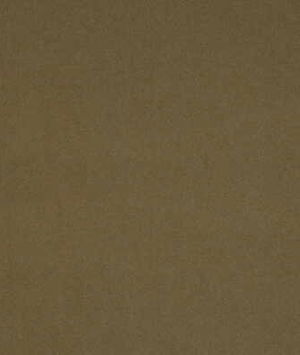 Lee Jofa Flannelsuede Latte Fabric