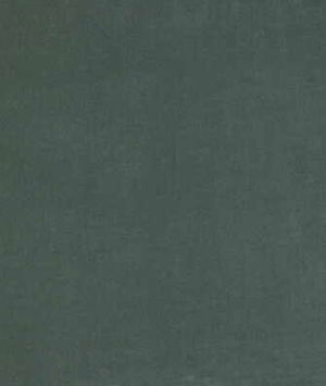 Lee Jofa Romeo Velvet Cypress Fabric