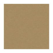 Lee Jofa Dublin Linen Peanut Fabric