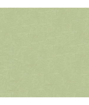 Lee Jofa Dublin Linen Jade Fabric