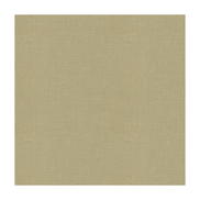 Lee Jofa Dublin Linen Linen Fabric