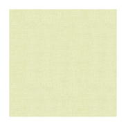 Lee Jofa Dublin Linen Rain Fabric