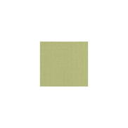 Lee Jofa Watermill Linen Lichen Fabric