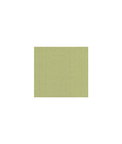 Lee Jofa Watermill Linen Lichen Fabric