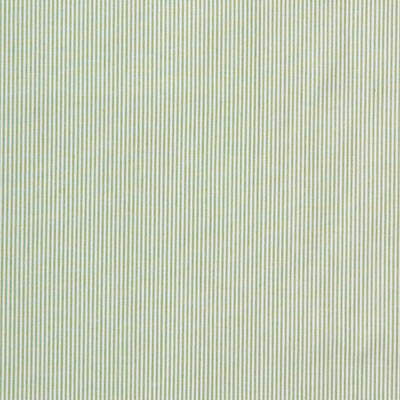 Lee Jofa Captiva Ticking Green Fabric