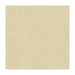 Lee Jofa Mesa Powder Fabric