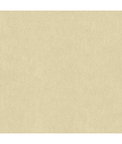 Lee Jofa Mesa Powder Fabric