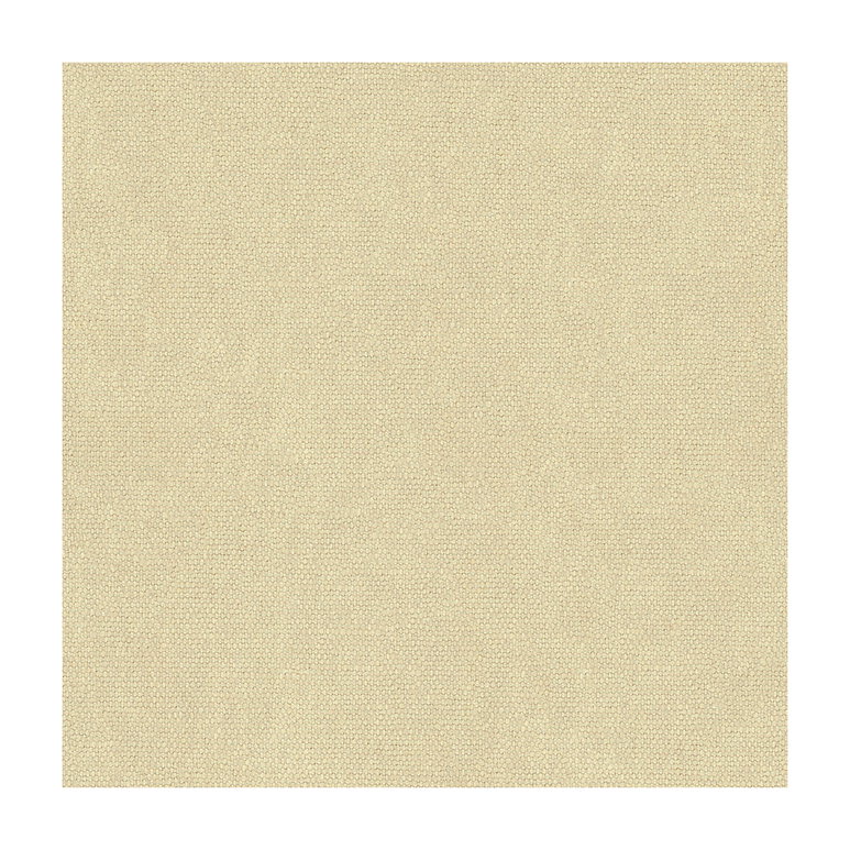 Lee Jofa Mesa Powder Fabric