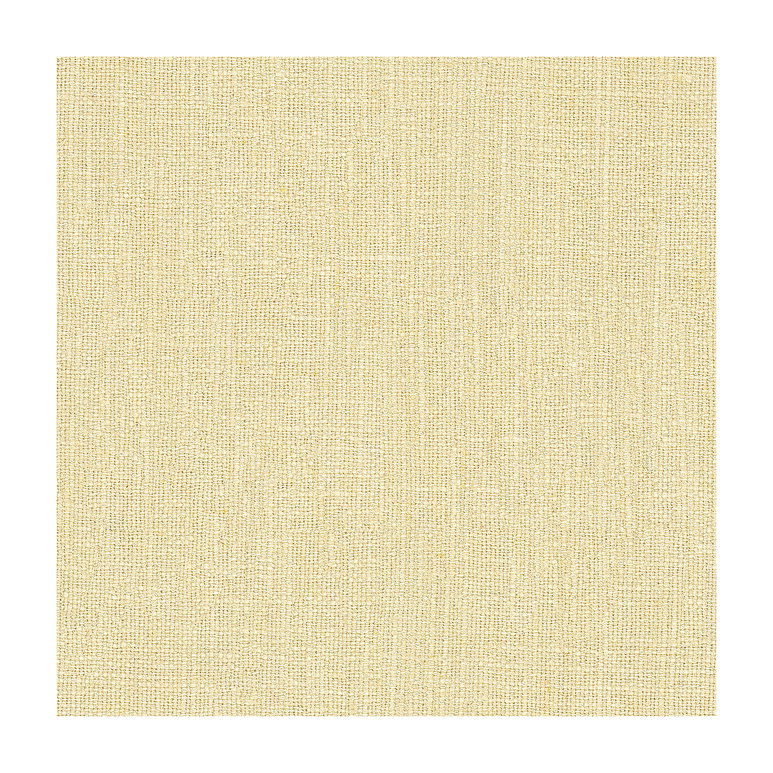 Lee Jofa Maidenhead Pearl Fabric