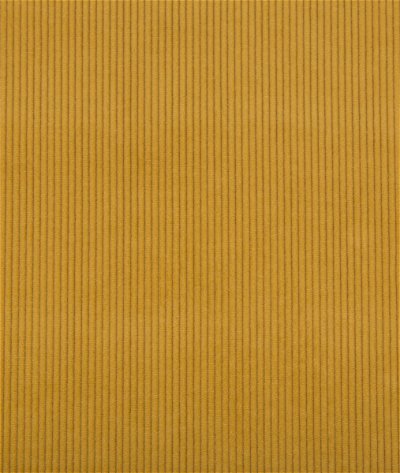 Lee Jofa Saranac Cord Gold Fabric