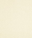 Lee Jofa Lewisian Sheer Cream Fabric