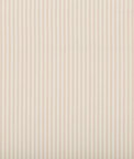 Lee Jofa Cap Ferrat Stripe Pink Fabric