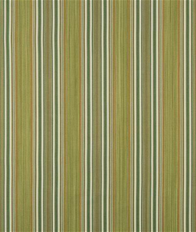 Lee Jofa Vyne Stripe Greenery Fabric