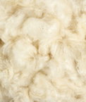 Kapok Fill - 5 lb
