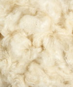 Kapok Fill - 5 lb