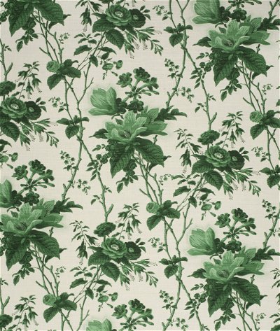 Lee Jofa De La Tour Paolos Green Fabric