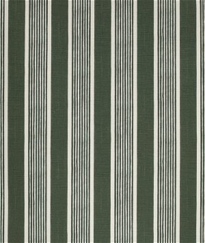 Lee Jofa Elba Stripe Dark Green Fabric