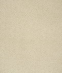 Lee Jofa Safari Cotton Light Taupe Fabric