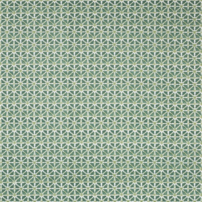 Lee Jofa Sylvan Print Aloe Fabric