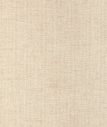 Lee Jofa Alfaro Weave Sand