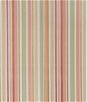 Lee Jofa Siders Stripe Blush/Sage Fabric