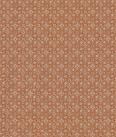 Lee Jofa Hadiqa Terracotta Fabric