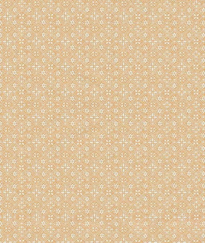 Lee Jofa Hadiqa Dark Blush Fabric