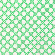 Lee Jofa Coastal Cane Green Fabric