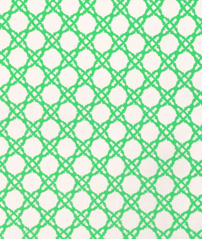Lee Jofa Coastal Cane Green Fabric
