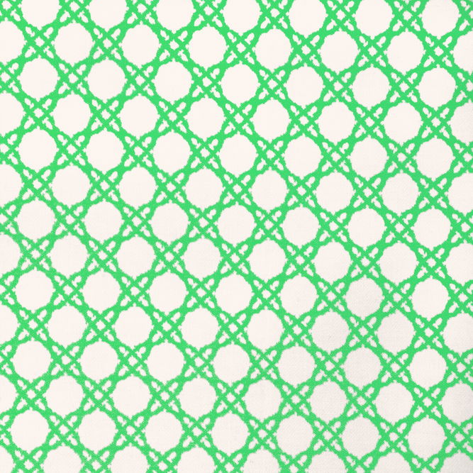 Lee Jofa Coastal Cane Green Fabric