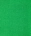 Lee Jofa Sarasota Weave Green Fabric